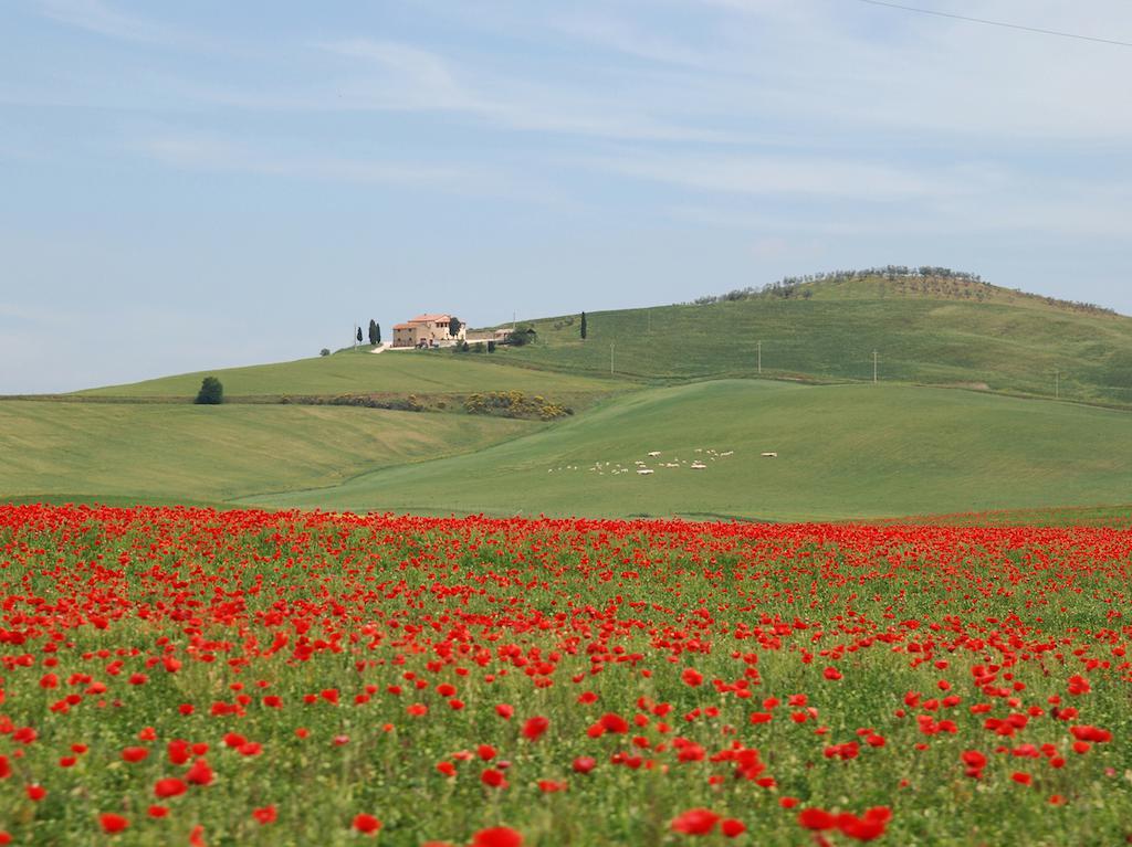 Agriturismo Poggio Tobruk Pienza Exterior foto